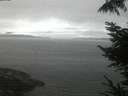 ./images/koeye/fitz-hugh/20220826/fitz-hugh20220826_060002.jpg