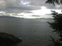 ./images/koeye/fitz-hugh/20220826/fitz-hugh20220826_080001.jpg