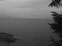 ./images/koeye/fitz-hugh/20220828/fitz-hugh20220828_060002.jpg