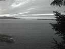 ./images/koeye/fitz-hugh/20220830/fitz-hugh20220830_060001.jpg