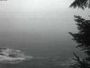 ./images/koeye/fitz-hugh/20220831/fitz-hugh20220831_060001.jpg