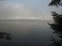 ./images/koeye/fitz-hugh/20220904/fitz-hugh20220904_080002.jpg