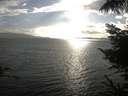 ./images/koeye/fitz-hugh/20220904/fitz-hugh20220904_180001.jpg