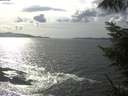 ./images/koeye/fitz-hugh/20220905/fitz-hugh20220905_160001.jpg