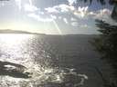 ./images/koeye/fitz-hugh/20220907/fitz-hugh20220907_160002.jpg