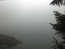 ./images/koeye/fitz-hugh/20220913/fitz-hugh20220913_080001.jpg