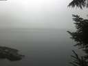 ./images/koeye/fitz-hugh/20220914/fitz-hugh20220914_080002.jpg