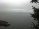 ./images/koeye/fitz-hugh/20220914/fitz-hugh20220914_120002.jpg