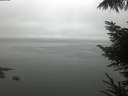 ./images/koeye/fitz-hugh/20220914/fitz-hugh20220914_140001.jpg