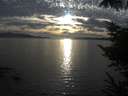 ./images/koeye/fitz-hugh/20221003/fitz-hugh20221003_180002.jpg