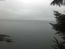 ./images/koeye/fitz-hugh/20221004/fitz-hugh20221004_080001.jpg
