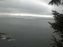 ./images/koeye/fitz-hugh/20221004/fitz-hugh20221004_100002.jpg