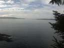 ./images/koeye/fitz-hugh/20221004/fitz-hugh20221004_120002.jpg