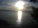 ./images/koeye/fitz-hugh/20221005/fitz-hugh20221005_180002.jpg
