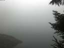 ./images/koeye/fitz-hugh/20221008/fitz-hugh20221008_080001.jpg