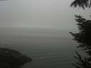 ./images/koeye/fitz-hugh/20221008/fitz-hugh20221008_180001.jpg