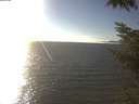 ./images/koeye/fitz-hugh/20221012/fitz-hugh20221012_160002.jpg