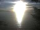./images/koeye/fitz-hugh/20221013/fitz-hugh20221013_180001.jpg