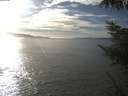 ./images/koeye/fitz-hugh/20221014/fitz-hugh20221014_160002.jpg