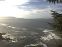 ./images/koeye/fitz-hugh/20221020/fitz-hugh20221020_140001.jpg