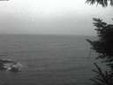 ./images/koeye/fitz-hugh/20221103/fitz-hugh20221103_080002.jpg