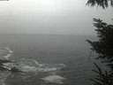 ./images/koeye/fitz-hugh/20221104/fitz-hugh20221104_080002.jpg