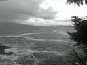 ./images/koeye/fitz-hugh/20221105/fitz-hugh20221105_080002.jpg