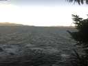 ./images/koeye/fitz-hugh/20221107/fitz-hugh20221107_100001.jpg