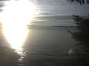 ./images/koeye/fitz-hugh/20221109/fitz-hugh20221109_160001.jpg