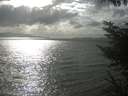 ./images/koeye/fitz-hugh/20230408/fitz-hugh20230408_163502.jpg