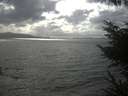 ./images/koeye/fitz-hugh/20230408/fitz-hugh20230408_164002.jpg