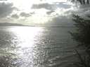 ./images/koeye/fitz-hugh/20230408/fitz-hugh20230408_164502.jpg