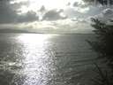 ./images/koeye/fitz-hugh/20230408/fitz-hugh20230408_165003.jpg