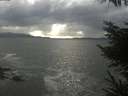 ./images/koeye/fitz-hugh/20230408/fitz-hugh20230408_174001.jpg