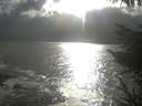 ./images/koeye/fitz-hugh/20230408/fitz-hugh20230408_175501.jpg