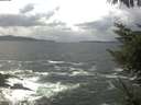 ./images/koeye/fitz-hugh/20230410/fitz-hugh20230410_140001.jpg