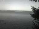 ./images/koeye/fitz-hugh/20230412/fitz-hugh20230412_060002.jpg