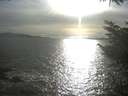 ./images/koeye/fitz-hugh/20230412/fitz-hugh20230412_180002.jpg
