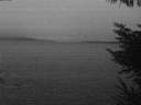 ./images/koeye/fitz-hugh/20230413/fitz-hugh20230413_060002.jpg