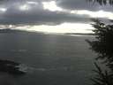 ./images/koeye/fitz-hugh/20230413/fitz-hugh20230413_180002.jpg