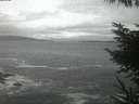./images/koeye/fitz-hugh/20230414/fitz-hugh20230414_060002.jpg