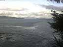 ./images/koeye/fitz-hugh/20230414/fitz-hugh20230414_100002.jpg