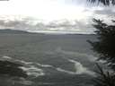 ./images/koeye/fitz-hugh/20230414/fitz-hugh20230414_120002.jpg
