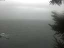 ./images/koeye/fitz-hugh/20230415/fitz-hugh20230415_100002.jpg