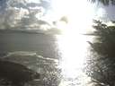 ./images/koeye/fitz-hugh/20230416/fitz-hugh20230416_180002.jpg