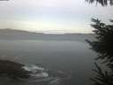 ./images/koeye/fitz-hugh/20230421/fitz-hugh20230421_060001.jpg