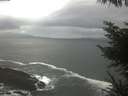 ./images/koeye/fitz-hugh/20230424/fitz-hugh20230424_120001.jpg