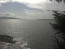 ./images/koeye/fitz-hugh/20230426/fitz-hugh20230426_160001.jpg