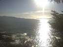 ./images/koeye/fitz-hugh/20230428/fitz-hugh20230428_180002.jpg