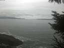 ./images/koeye/fitz-hugh/20230506/fitz-hugh20230506_080002.jpg